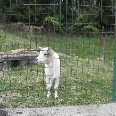 Da Marino - Sant'Omobono Imagna
