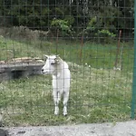 Da Marino - Sant'Omobono Imagna
