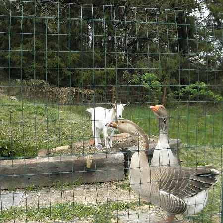 לינה וארוחת בוקר Da Marino -