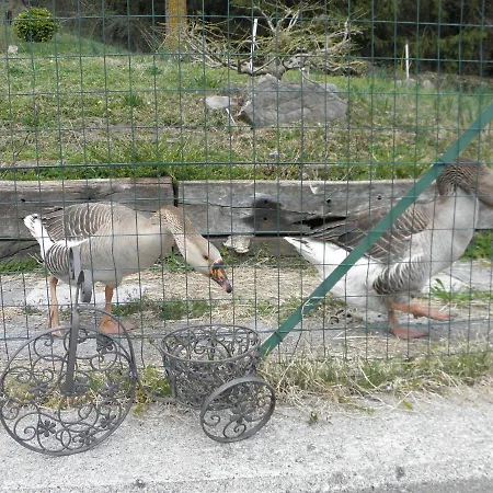 Da Marino - Frühstückspension Sant'Omobono Imagna