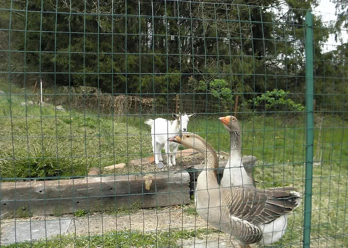 Bed & Breakfast Da Marino -