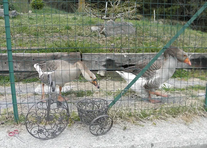 Da Marino - Bed & Breakfast Sant'Omobono Imagna