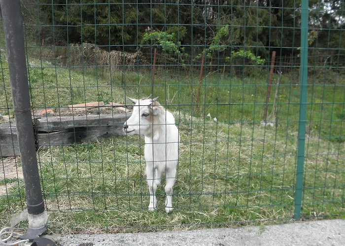 Da Marino - Sant'Omobono Imagna